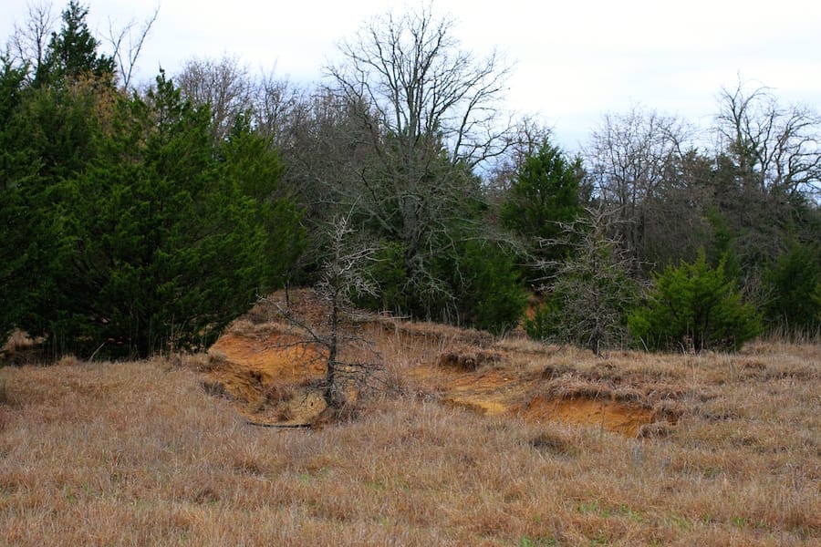 Montgomery Ranch Tract 16 photo 25