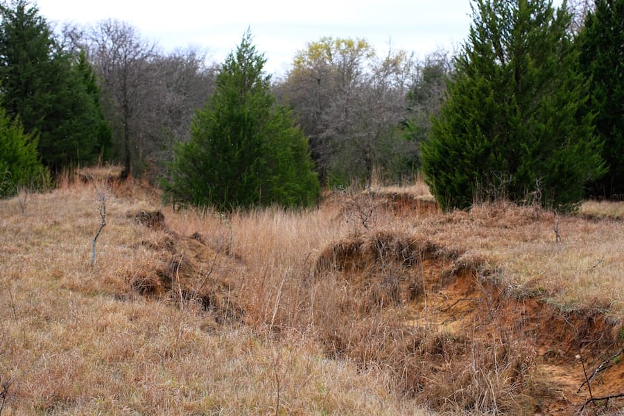 Montgomery Ranch Tract 16 photo 26