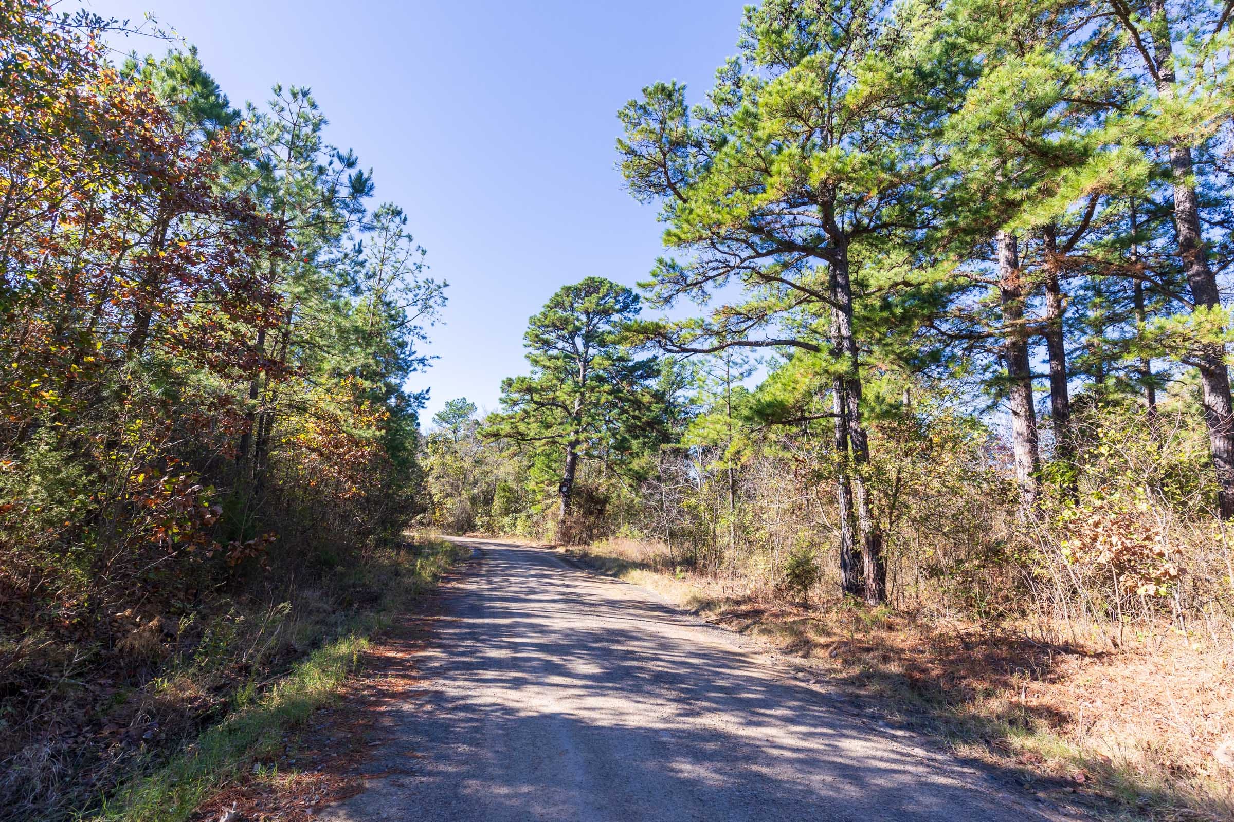 Stone Bridge Reserve Tract 3 photo 1