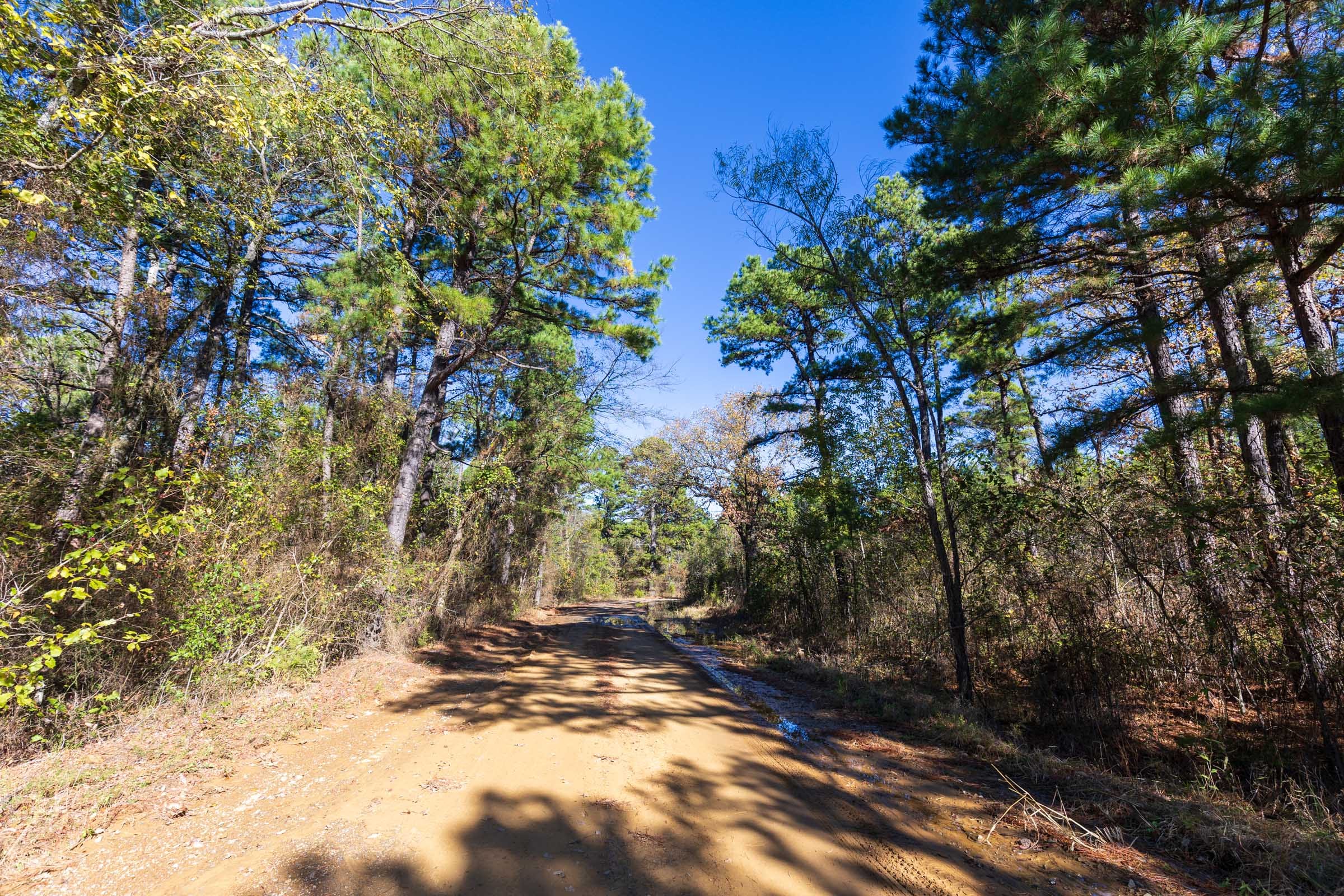 Stone Bridge Reserve Tract 3 photo 11