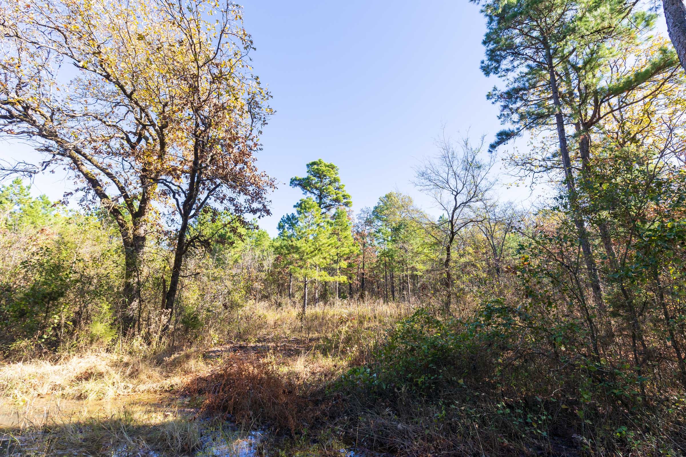 Stone Bridge Reserve Tract 3 photo 9