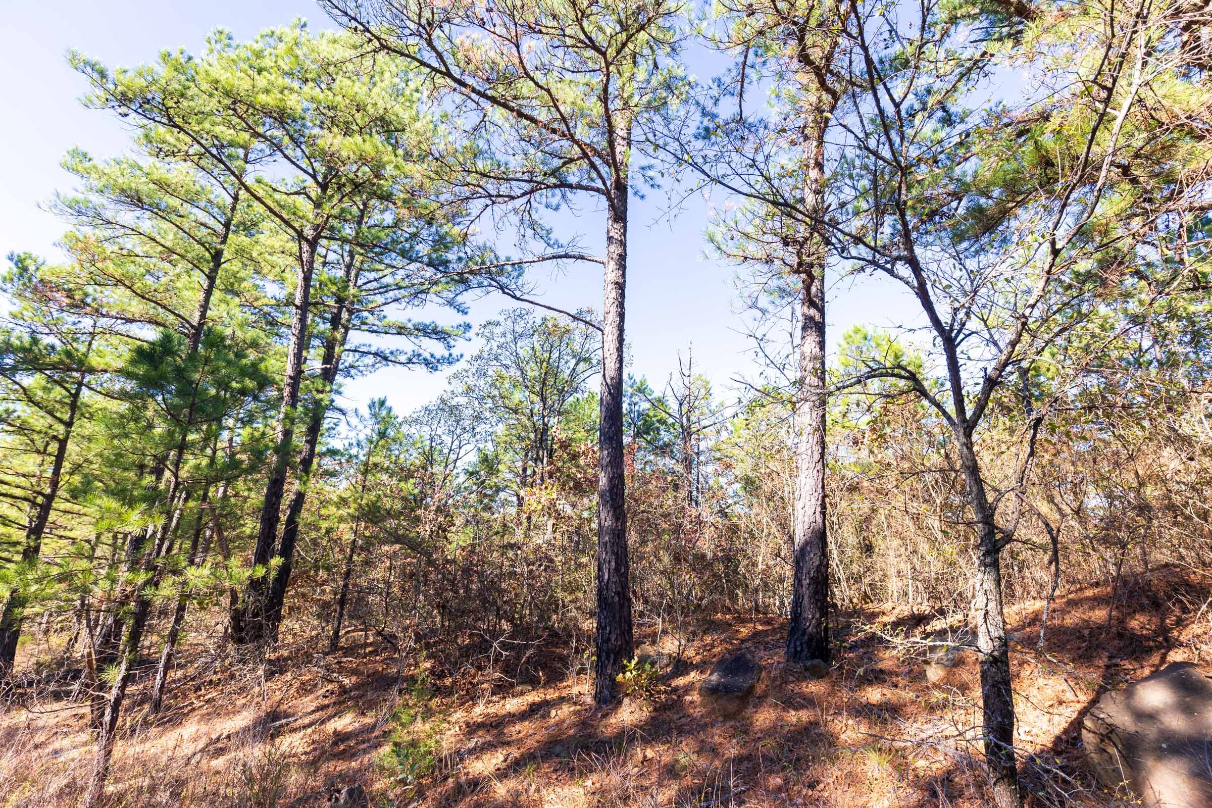Stone Bridge Reserve Tract 3 photo 8