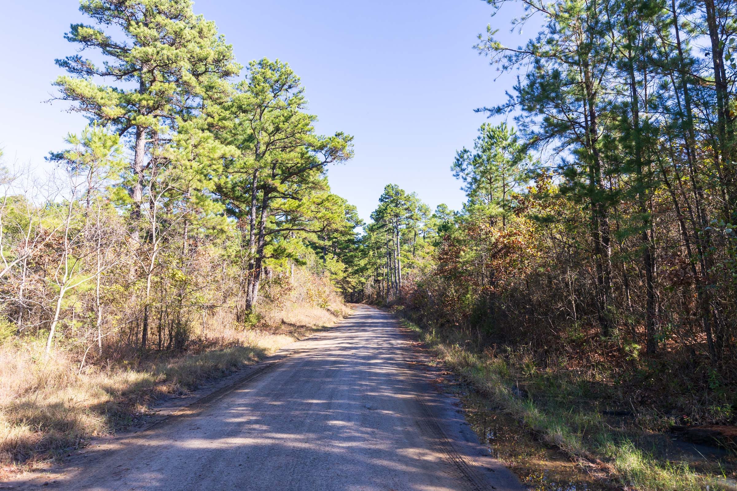Stone Bridge Reserve Tract 3 photo 7