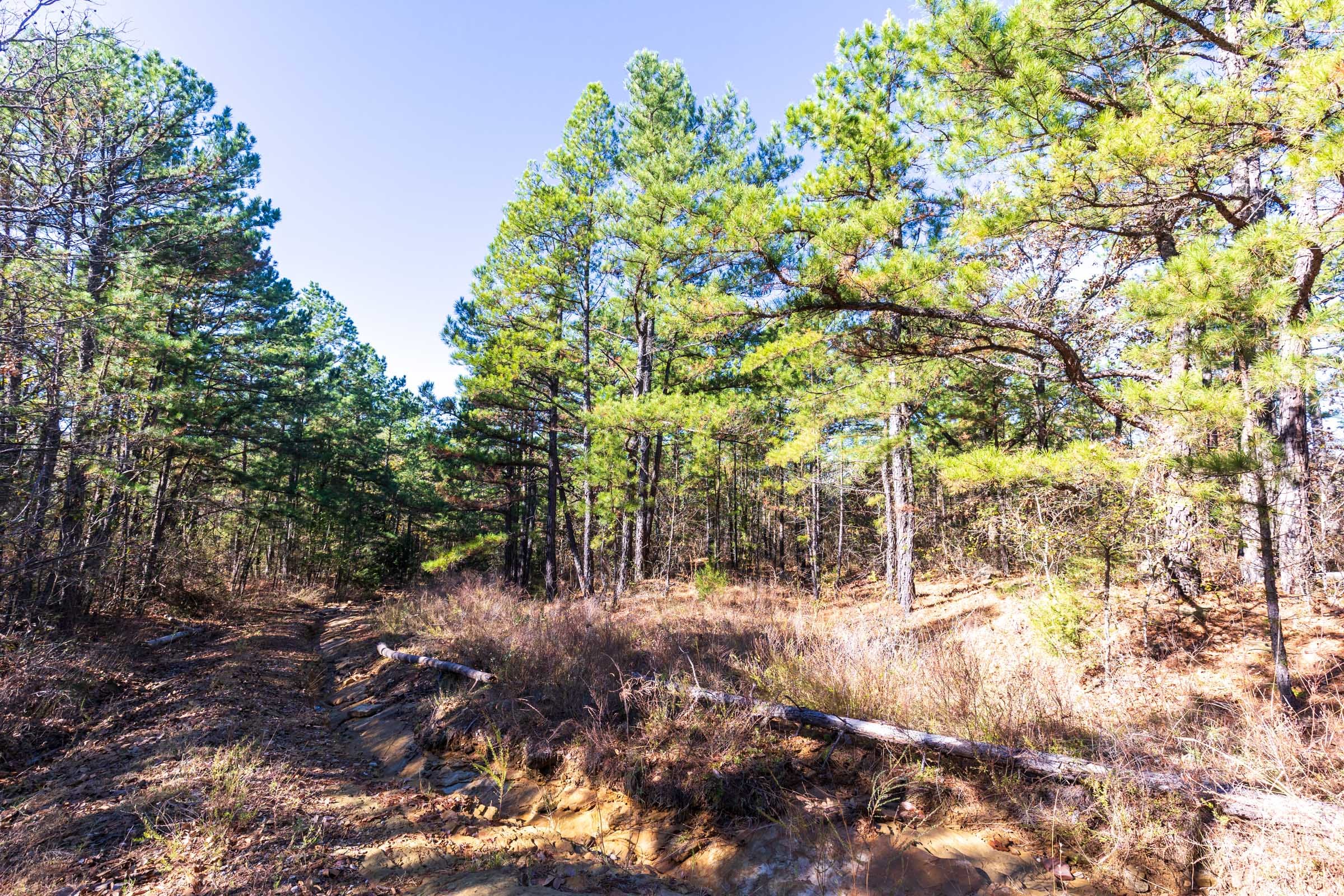 Stone Bridge Reserve Tract 3 photo 6