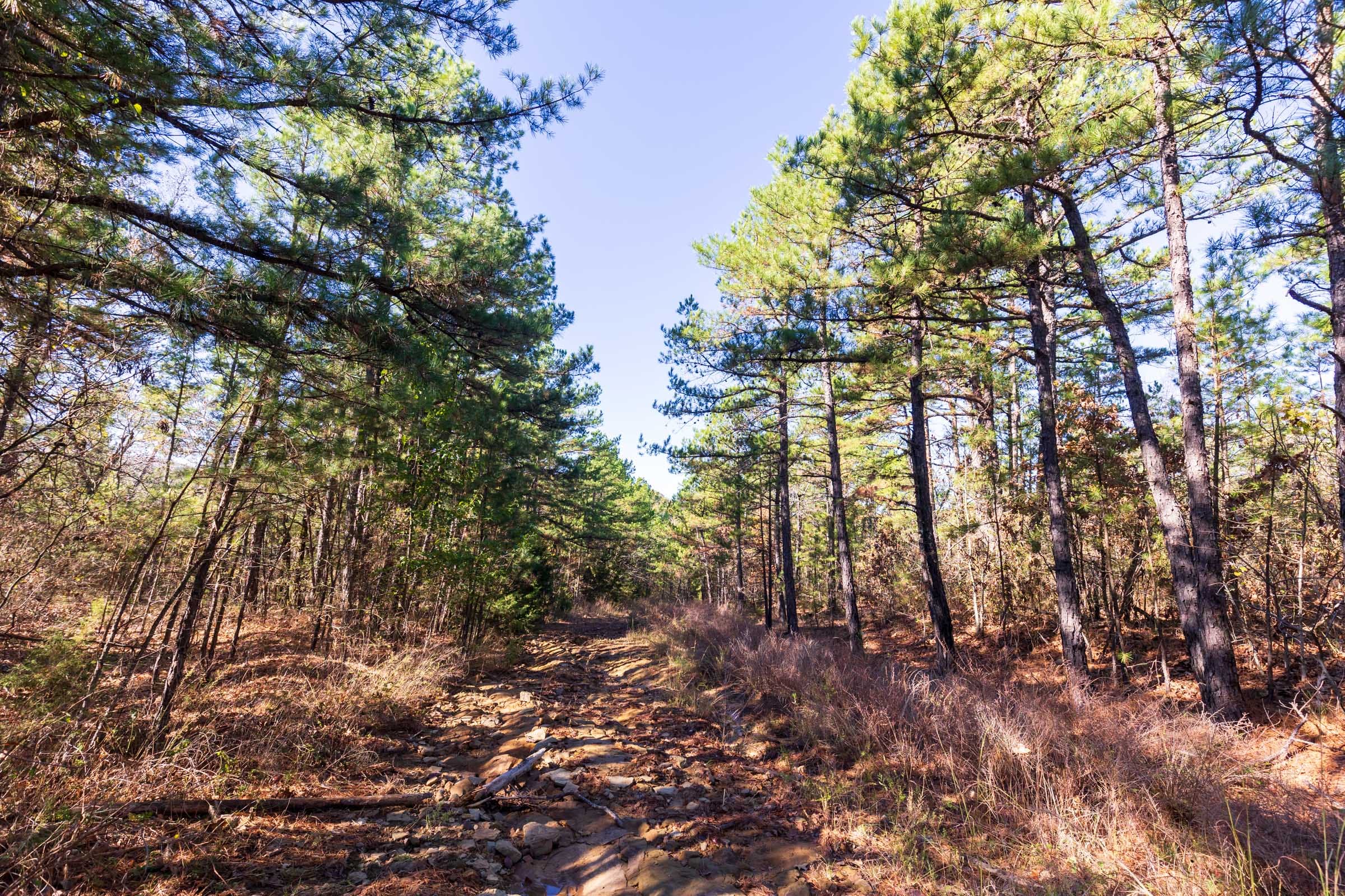 Stone Bridge Reserve Tract 3 photo 5