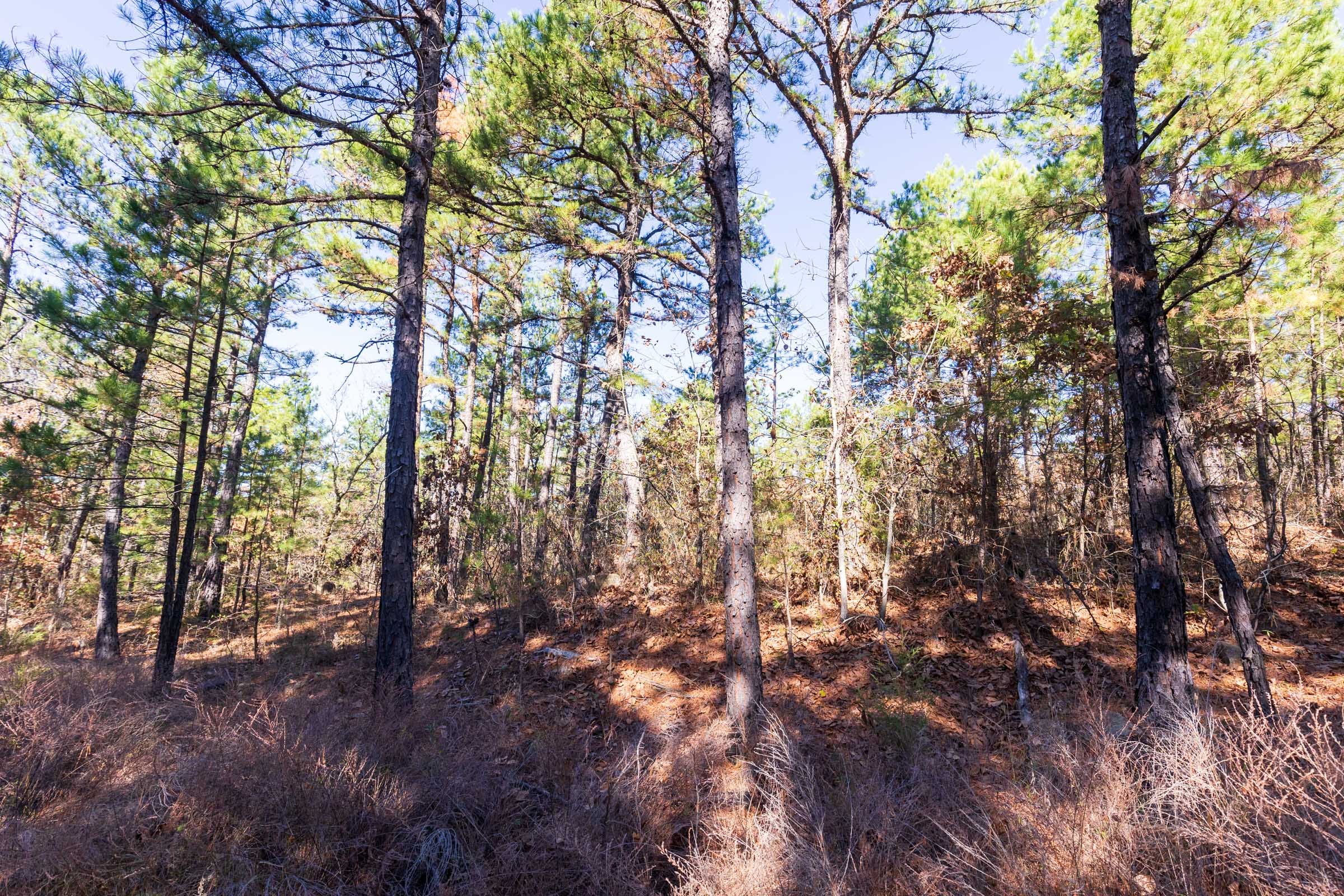 Stone Bridge Reserve Tract 3 photo 4