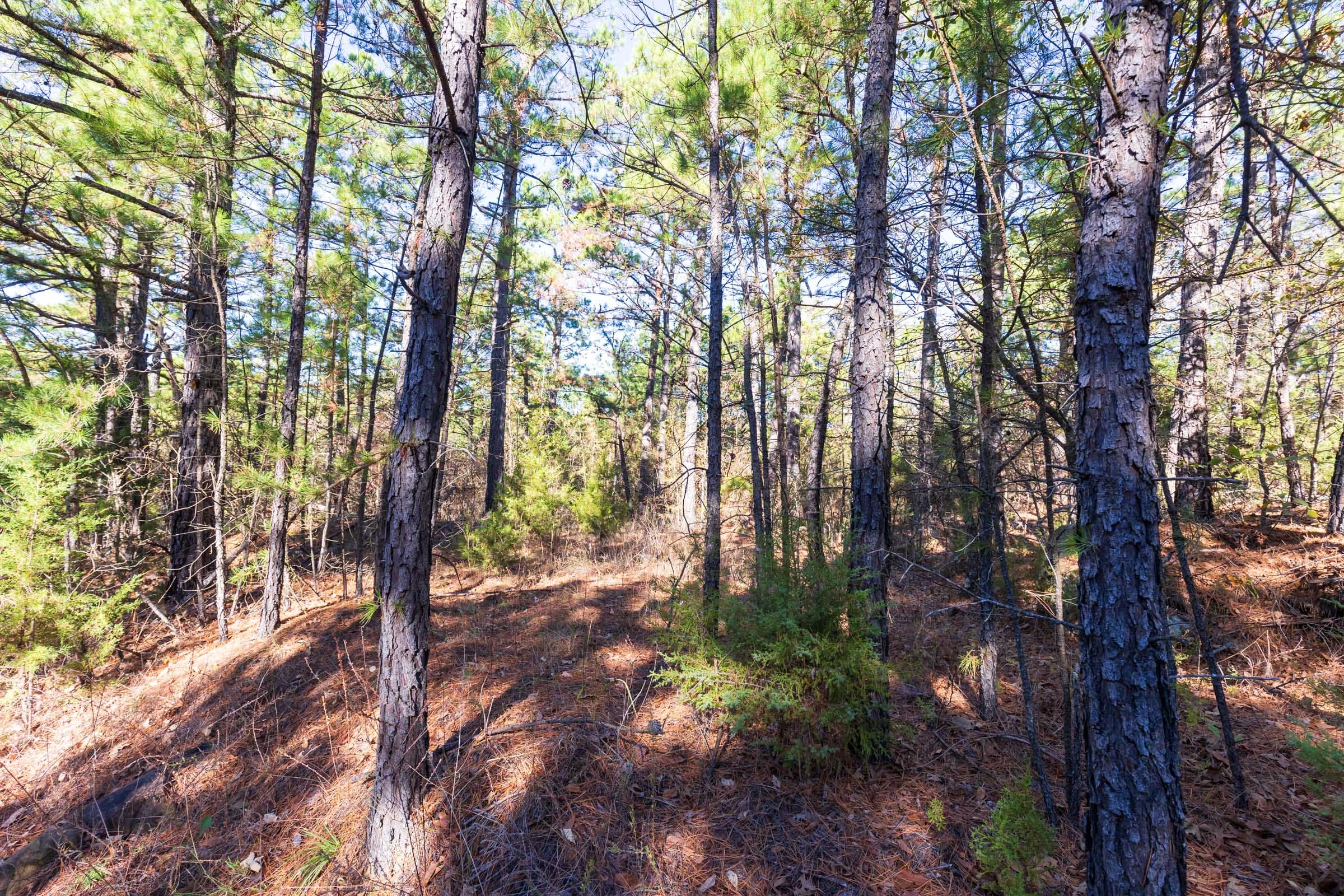 Stone Bridge Reserve Tract 3 photo 2