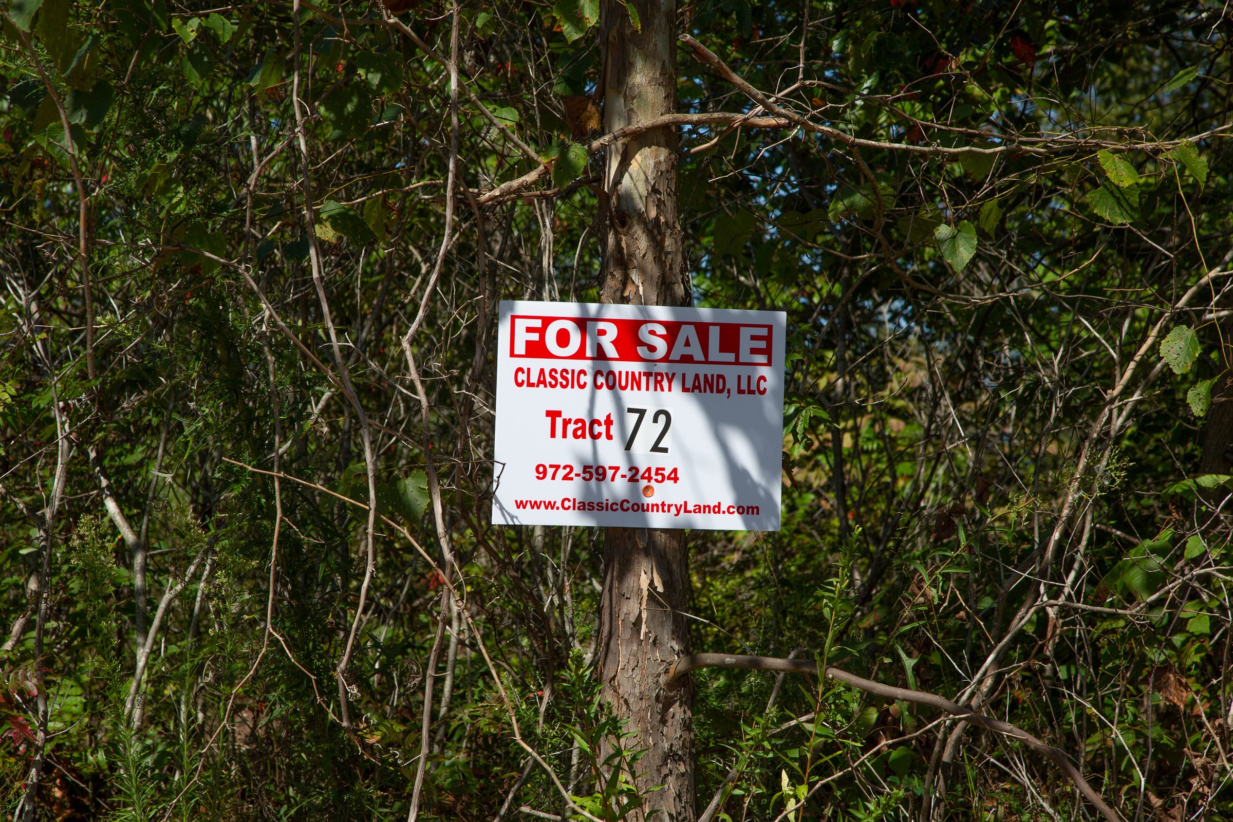 Borgmann’s Hollow Phase III Tract 72 photo 1