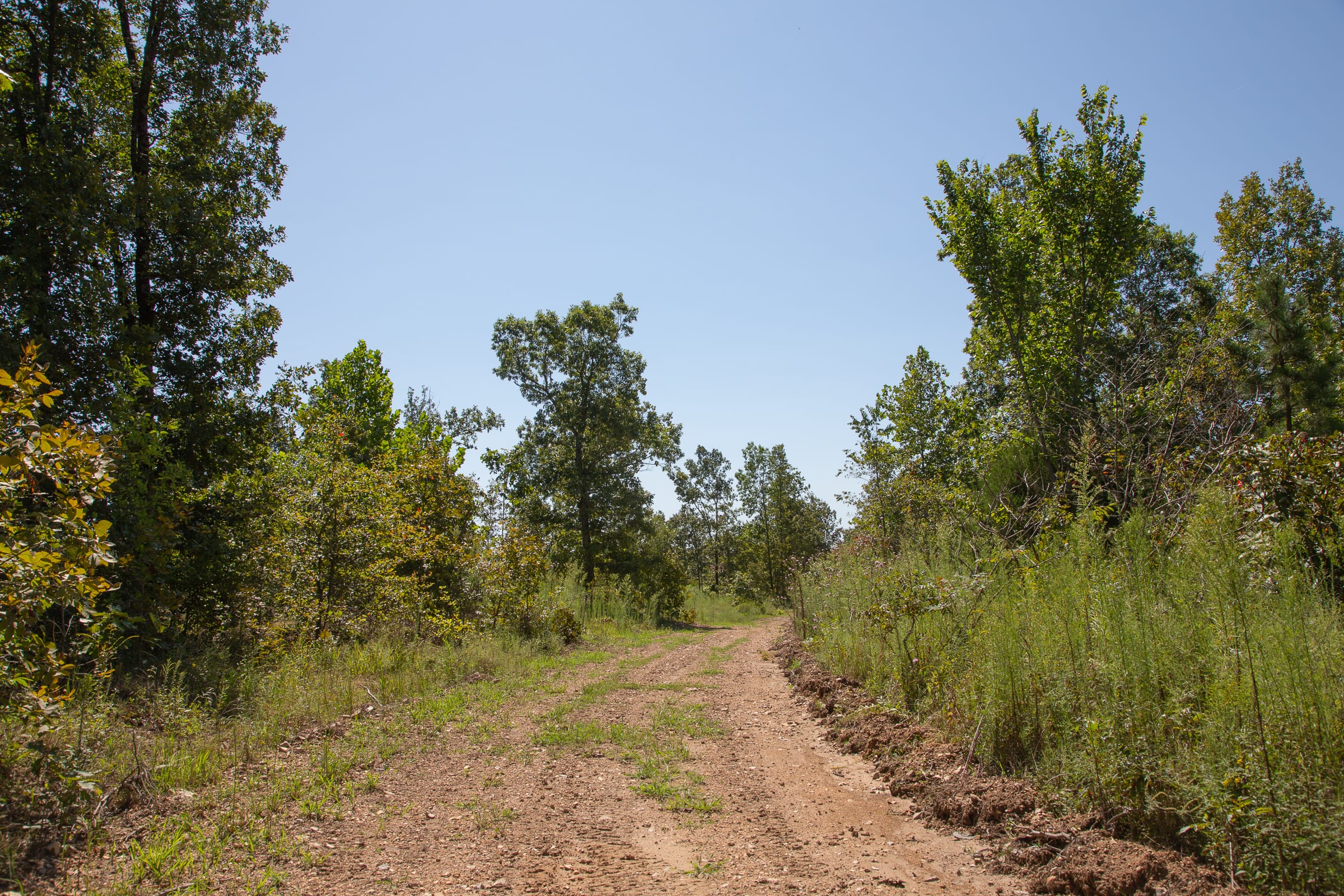 Borgmann’s Hollow Phase III Tract 72 photo 2