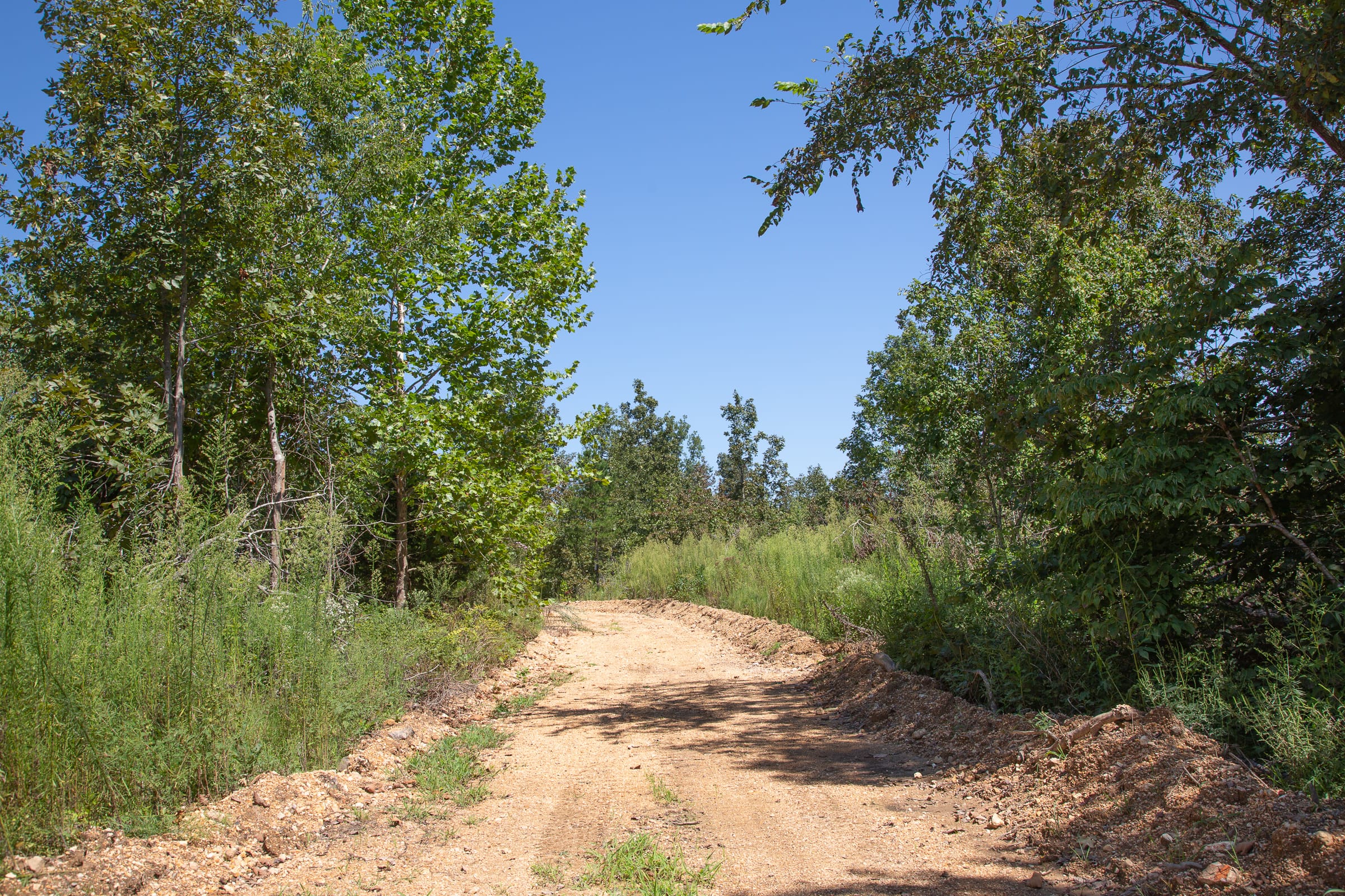 Borgmann’s Hollow Phase III Tract 72 photo 8