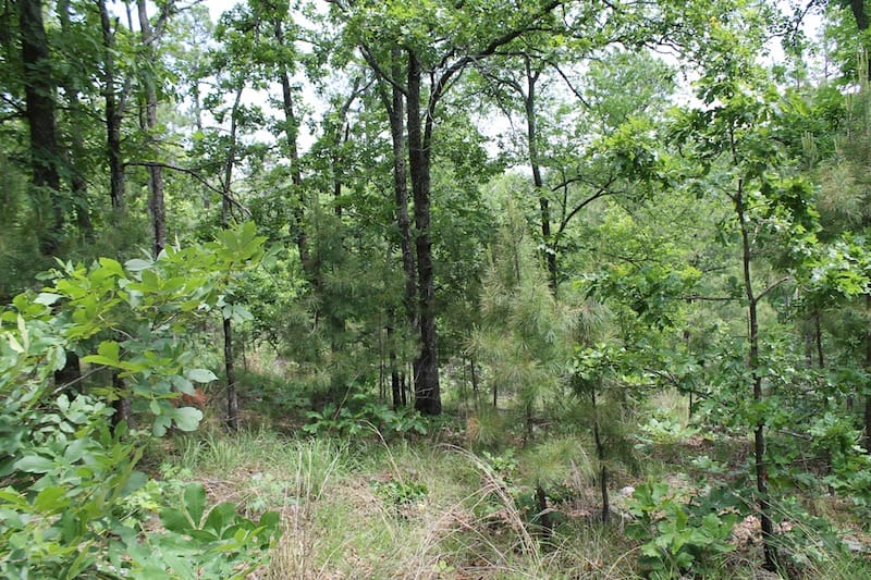 Indian Ridge – Phase II Tract 59 photo 1
