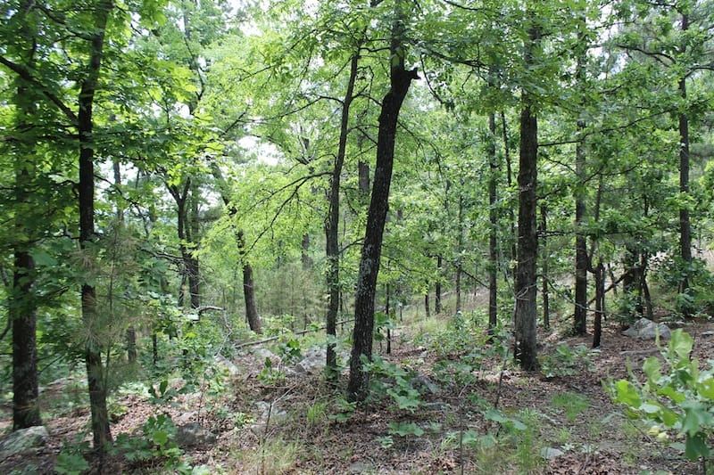 Indian Ridge – Phase II Tract 59 photo 5