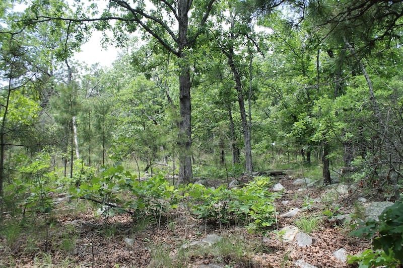 Indian Ridge – Phase II Tract 59 photo 7