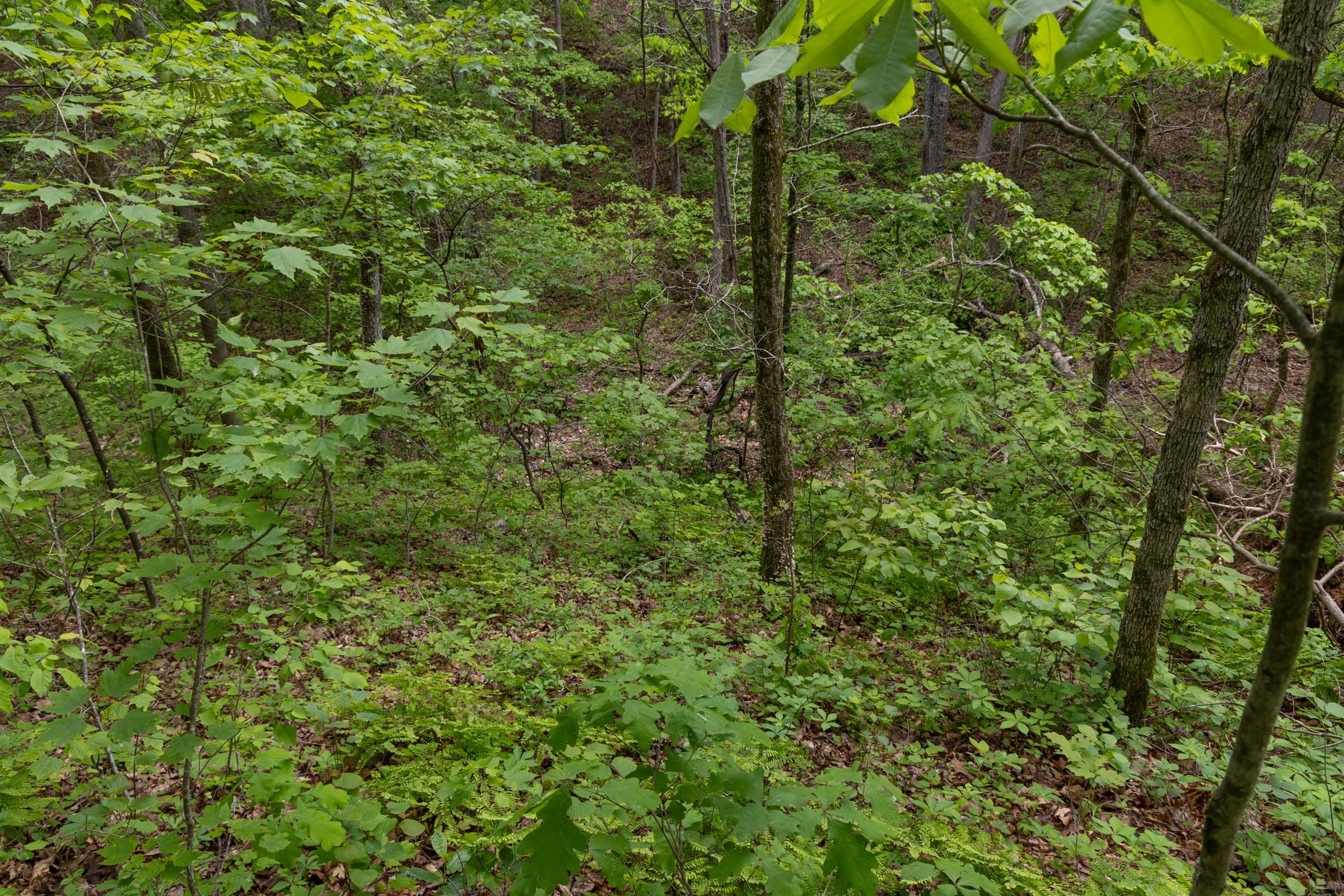 Sleepy Hollow Phase II Tract 69 photo 15