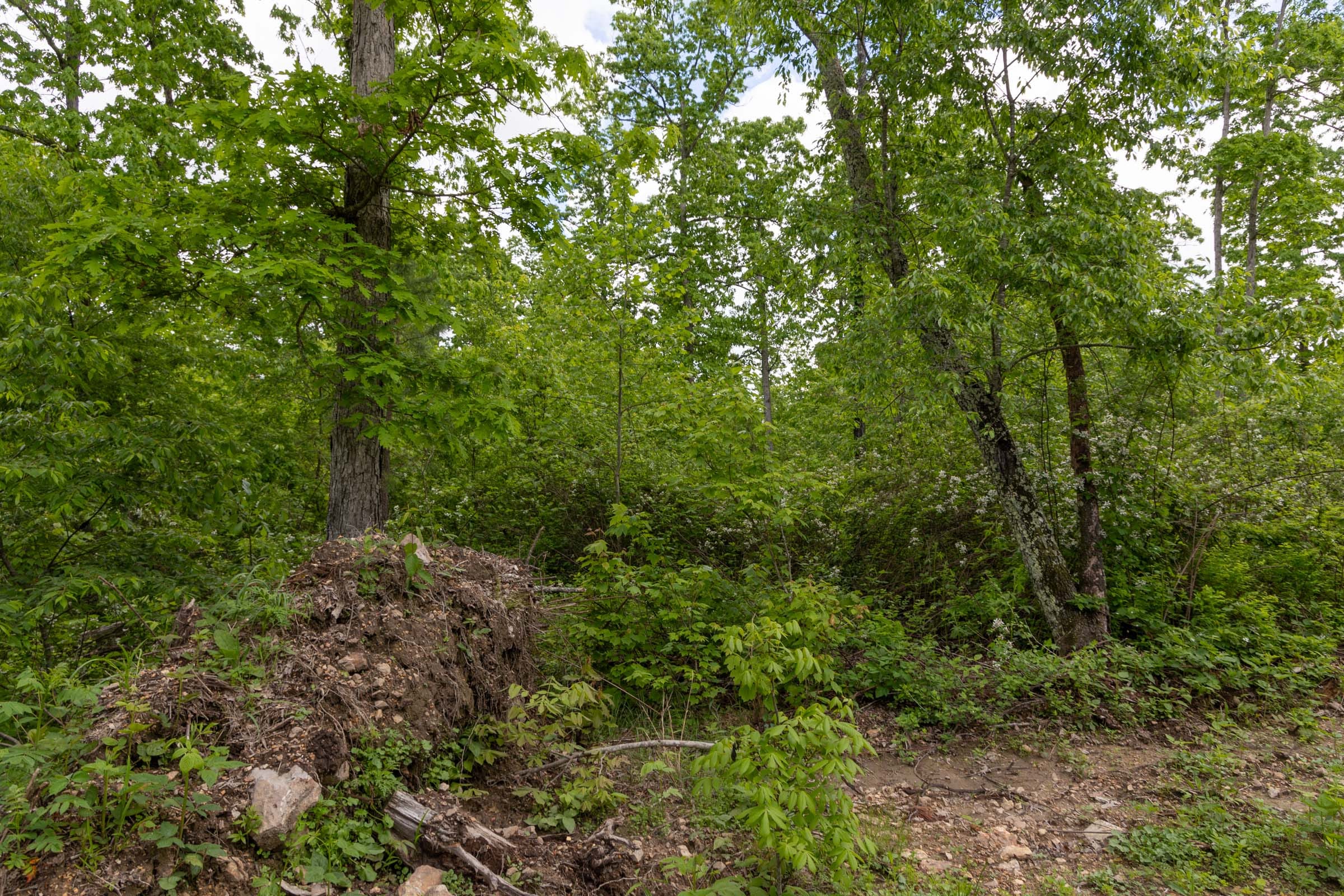 Sleepy Hollow Phase II Tract 69 photo 14