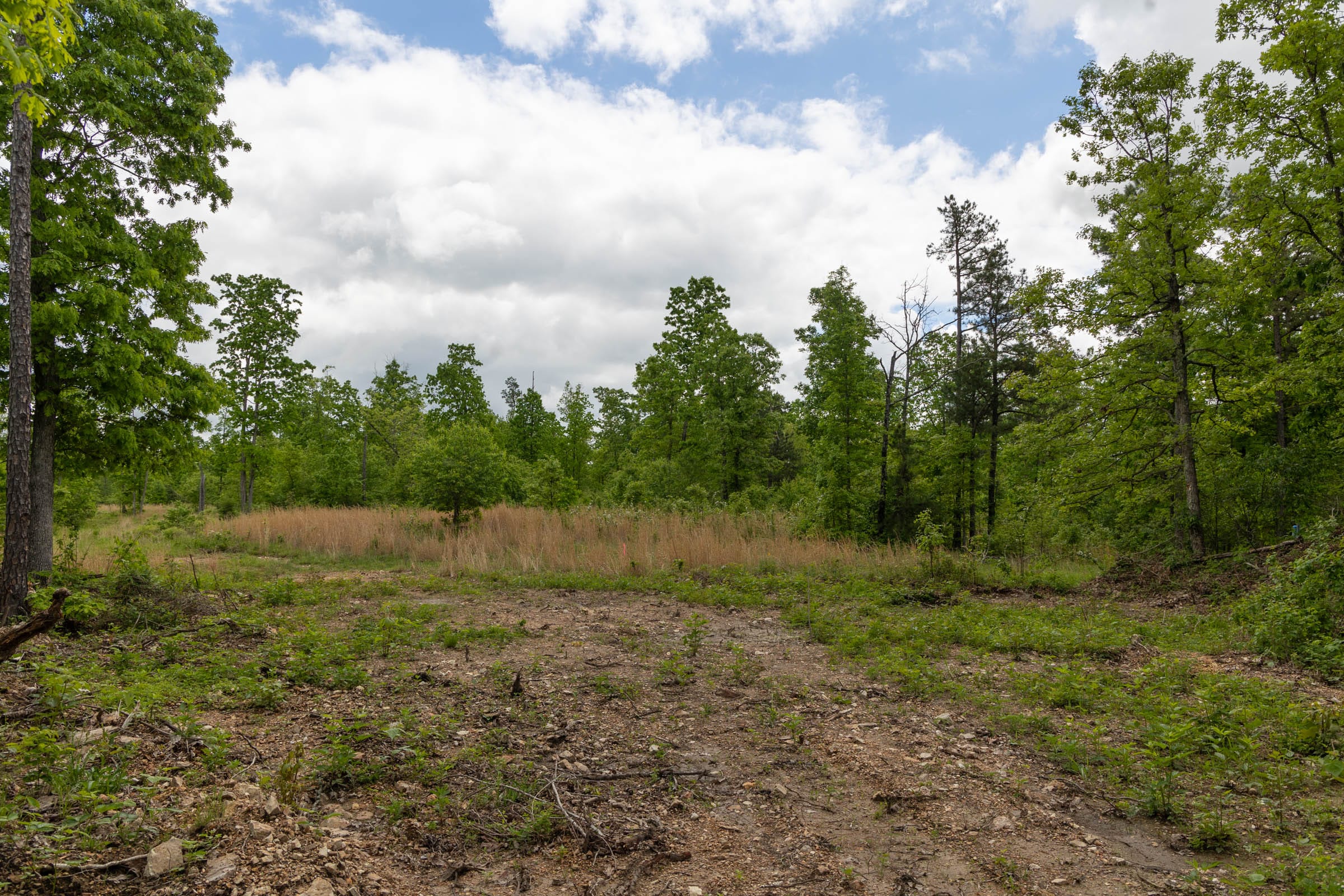Sleepy Hollow Phase II Tract 69 photo 5