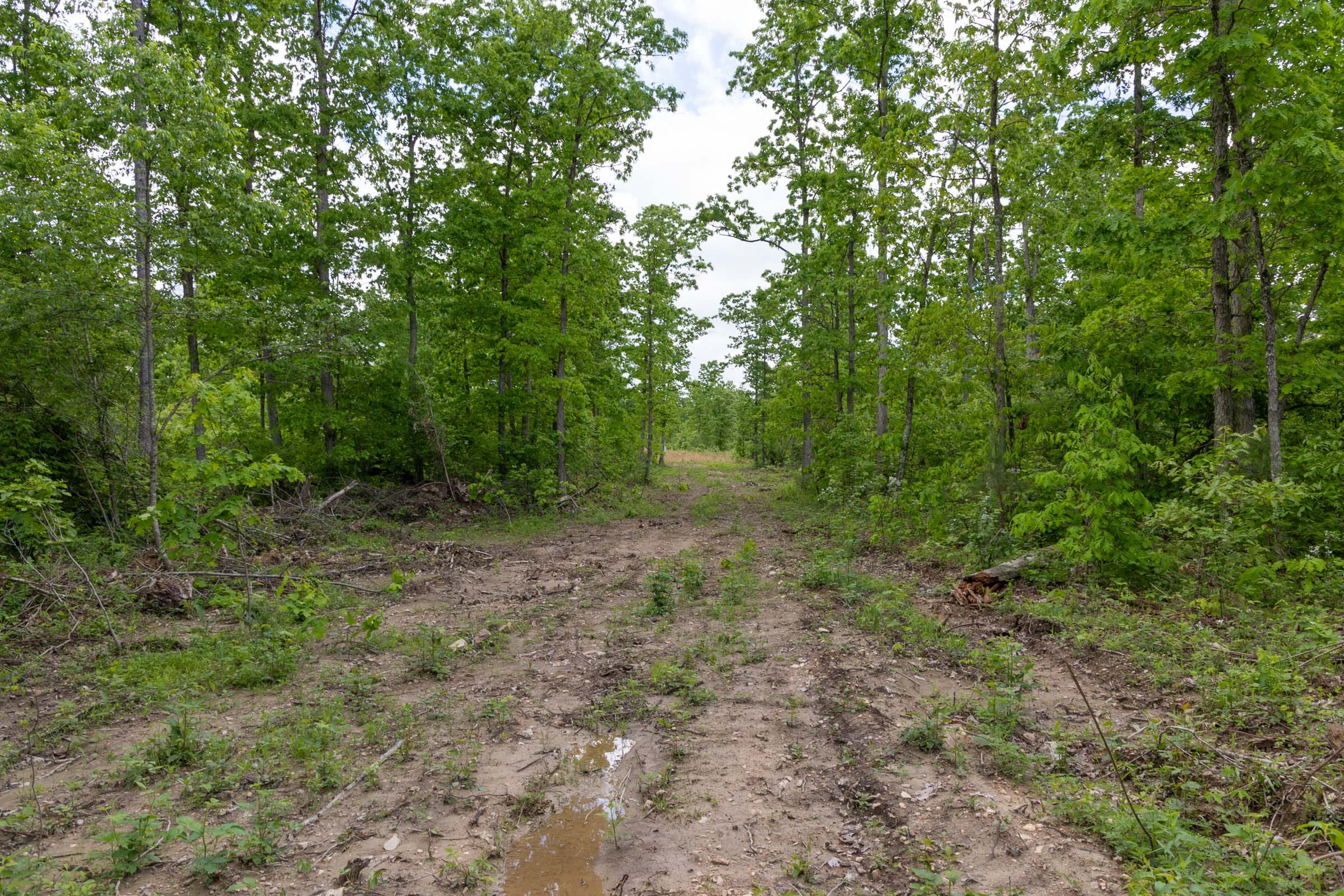 Sleepy Hollow Phase II Tract 69 photo 6