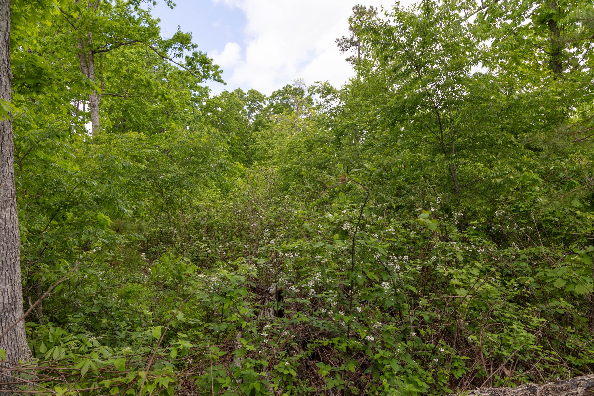 Sleepy Hollow Phase II Tract 69 photo 11