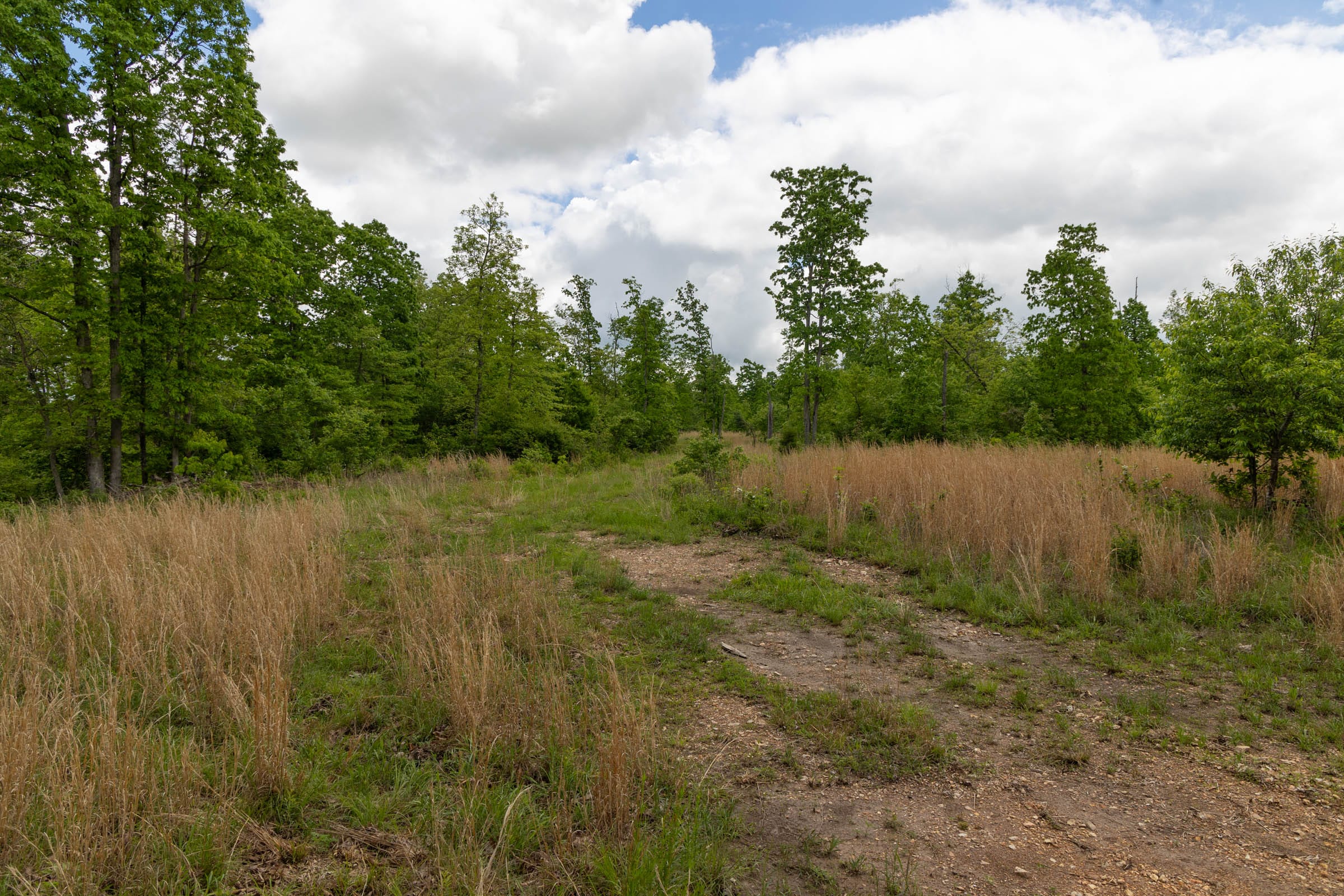 Sleepy Hollow Phase II Tract 69 photo 9