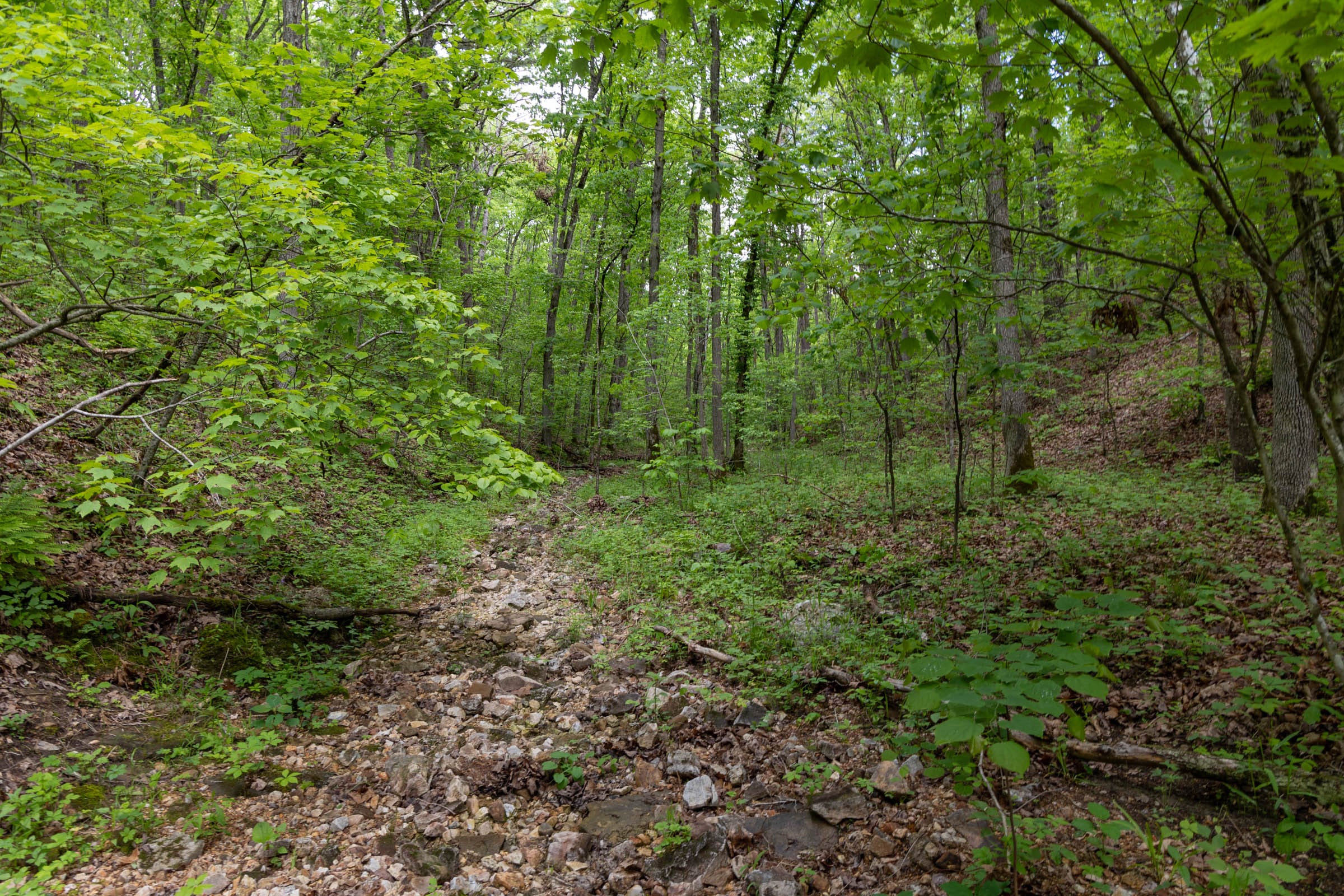 Sleepy Hollow Phase II Tract 71 photo 1
