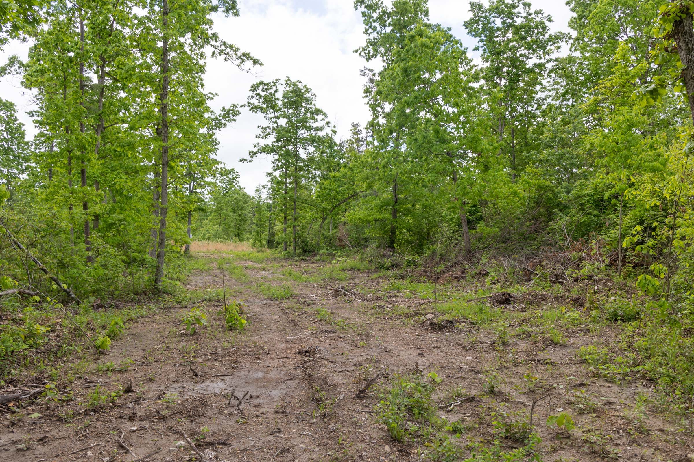 Sleepy Hollow Phase II Tract 69 photo 2