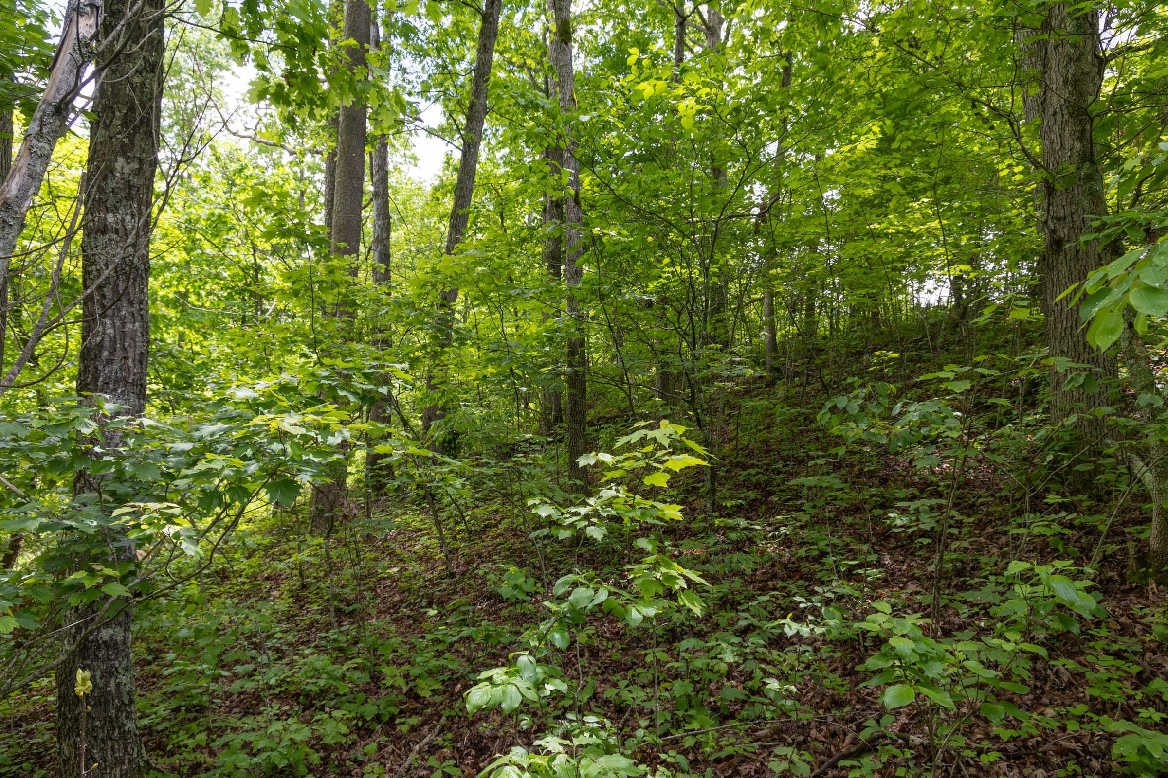 Sleepy Hollow Phase II Tract 69 photo 4