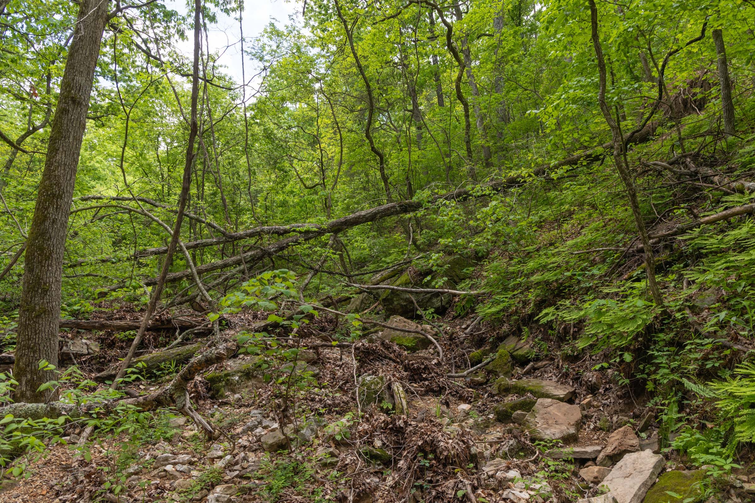 Sleepy Hollow Phase II Tract 73 photo 3