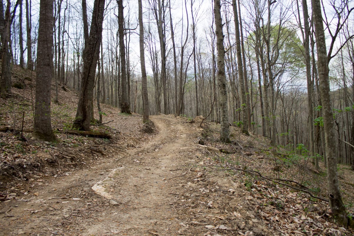 Chestnut Oak Ridge Tract 4 photo 1
