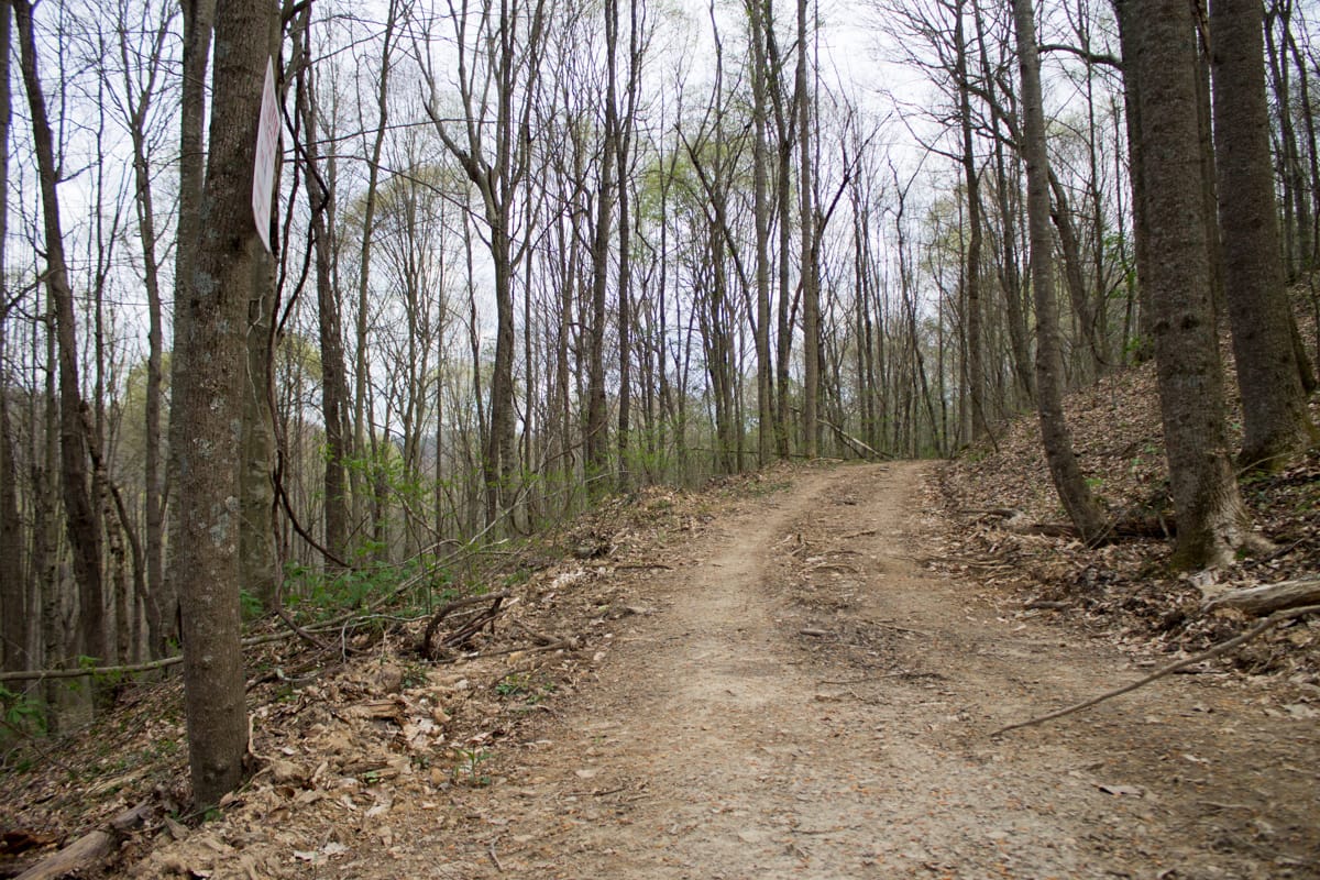 Chestnut Oak Ridge Tract 4 photo 2