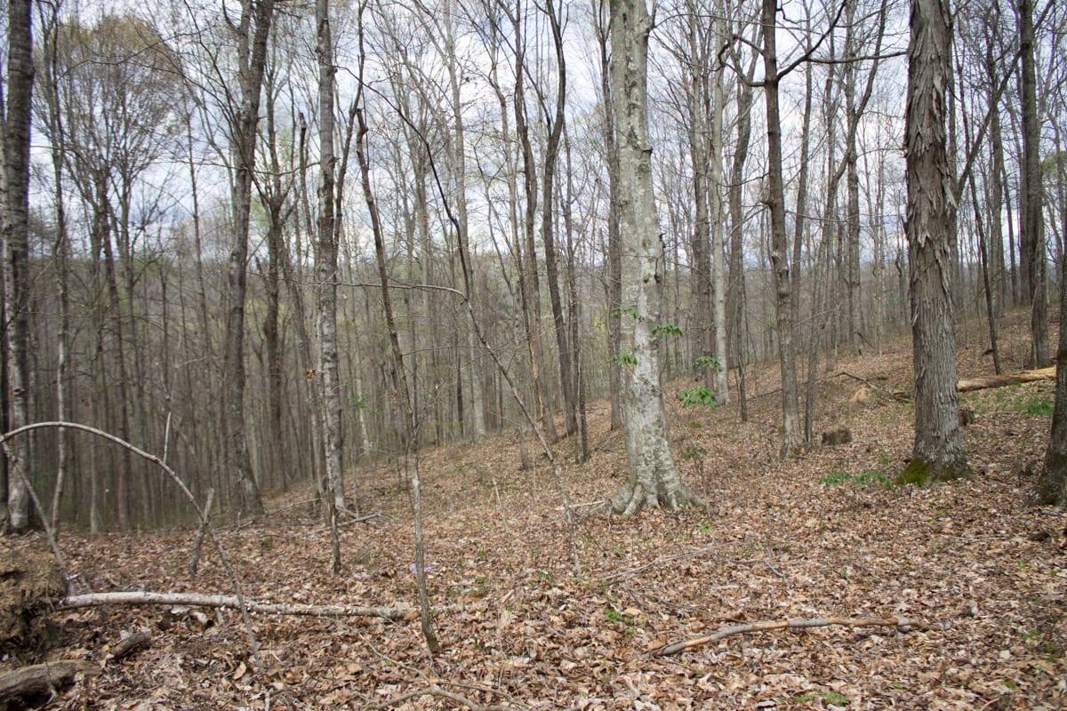 Chestnut Oak Ridge Tract 4 photo 12