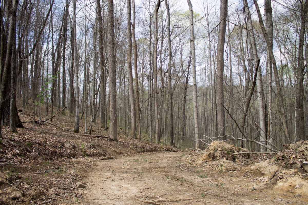Chestnut Oak Ridge Tract 4 photo 14