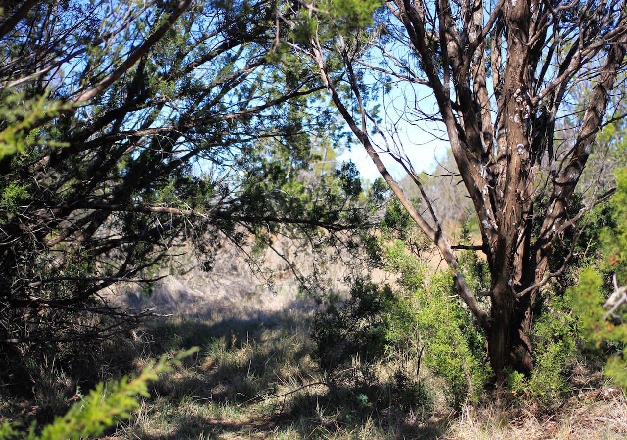 Red Rock Ranch Tract 3 photo 3