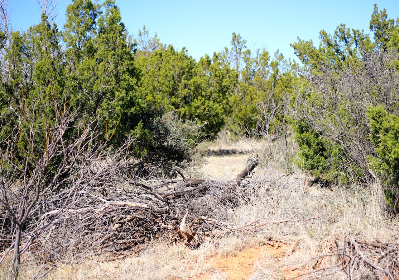 Red Rock Ranch Tract 3 photo 4