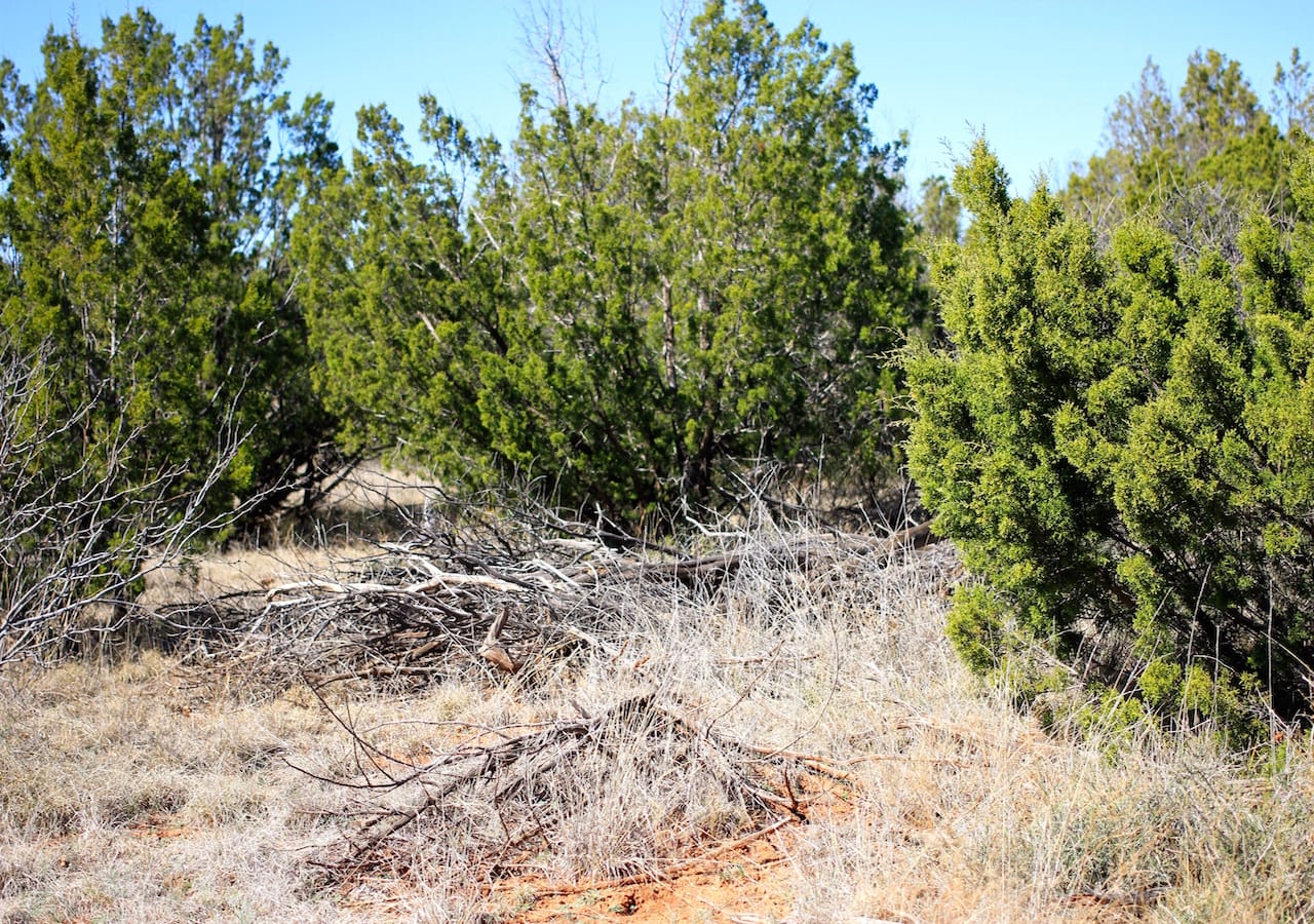 Red Rock Ranch Tract 3 photo 5