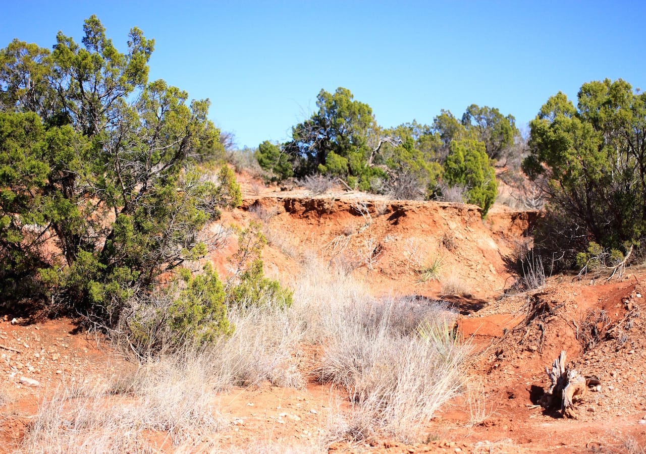 Red Rock Ranch Tract 3 photo 6