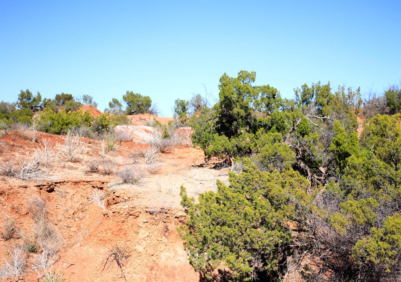 Red Rock Ranch Tract 3 photo 9