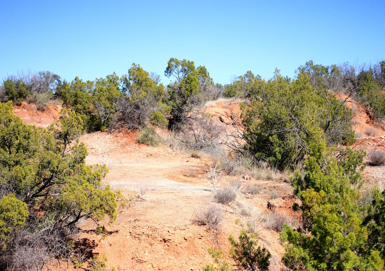 Red Rock Ranch Tract 3 photo 10