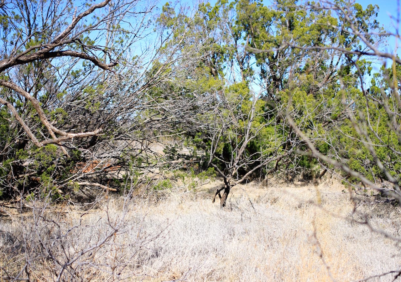 Red Rock Ranch Tract 3 photo 13