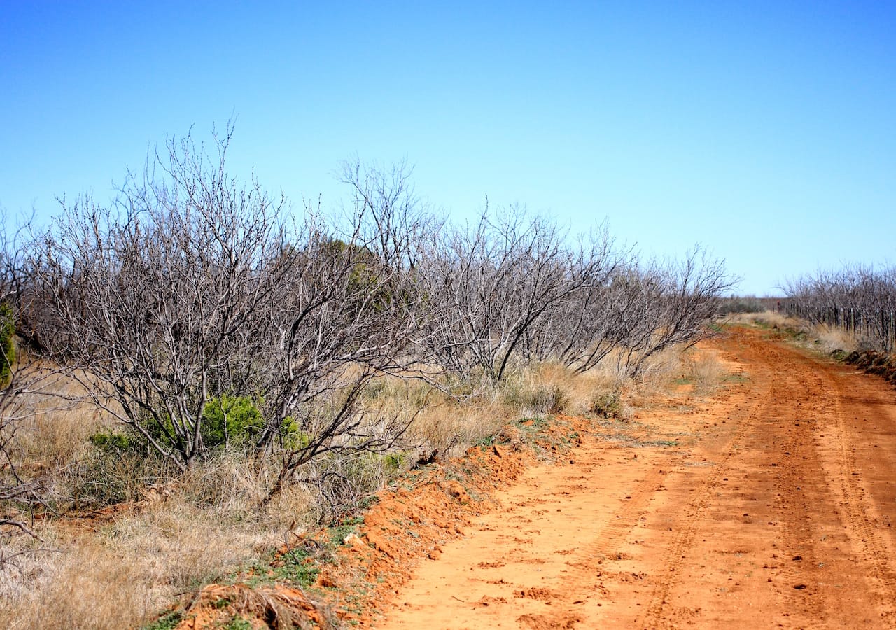 Red Rock Ranch Tract 3 photo 15
