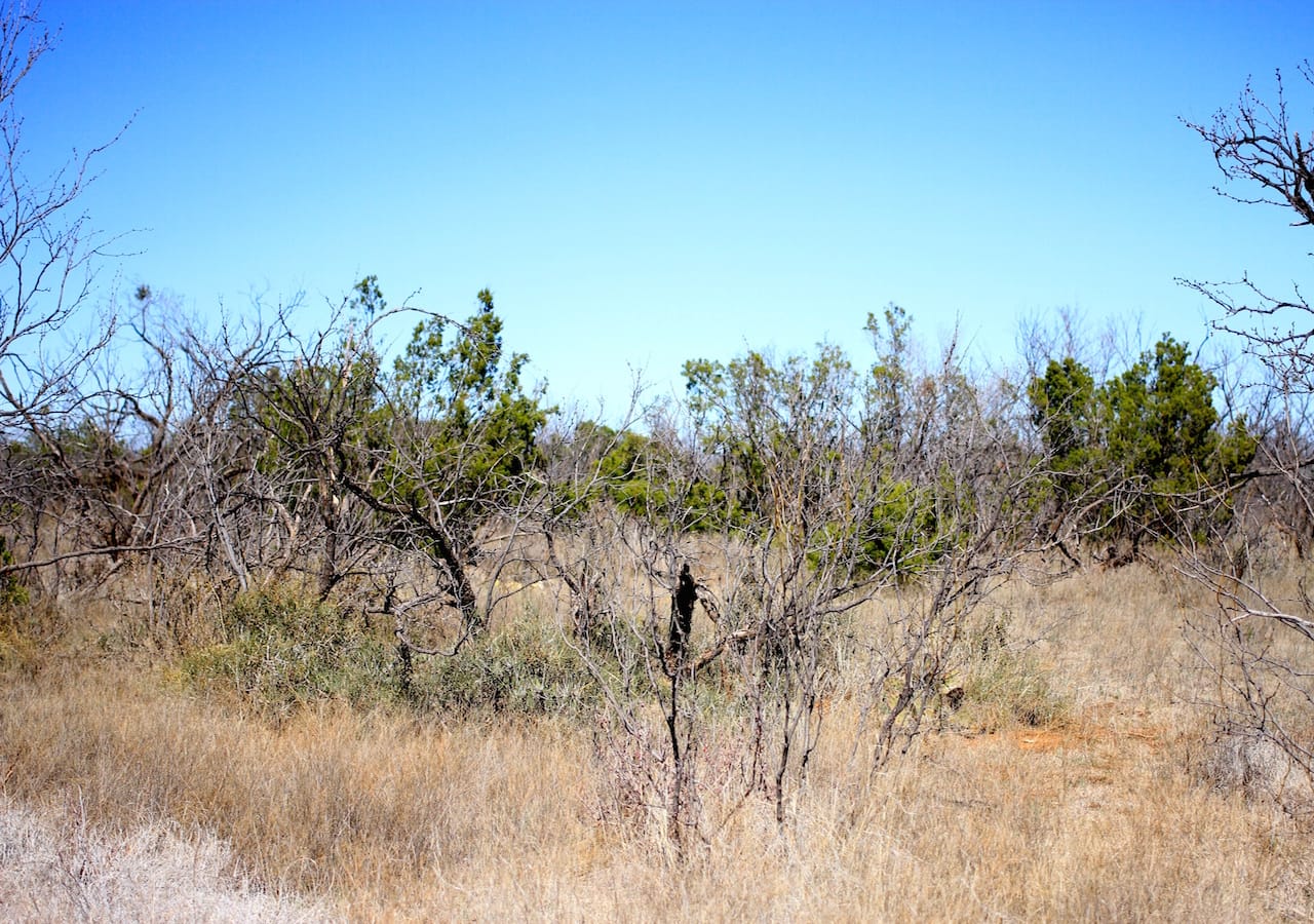 Red Rock Ranch Tract 3 photo 16