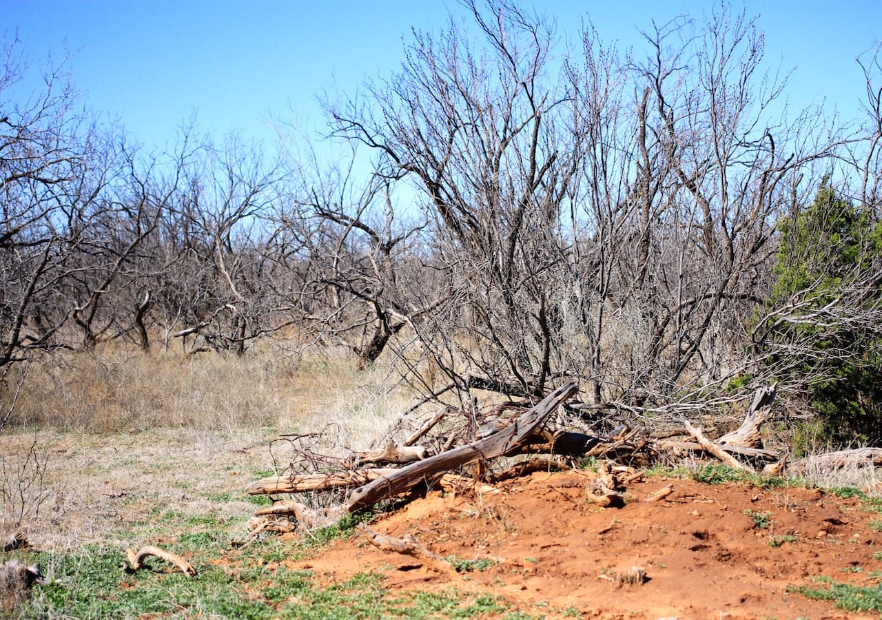 Red Rock Ranch Tract 3 photo 17