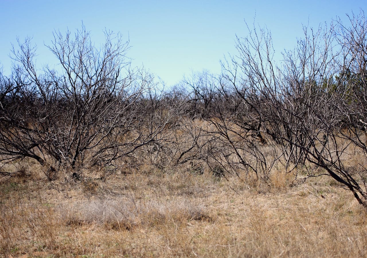Red Rock Ranch Tract 3 photo 18