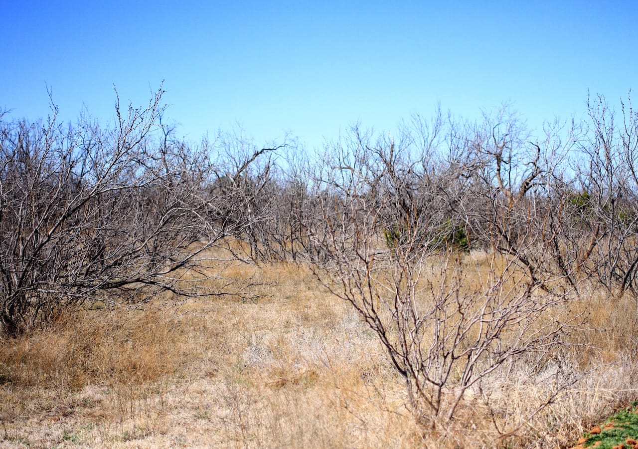 Red Rock Ranch Tract 3 photo 19