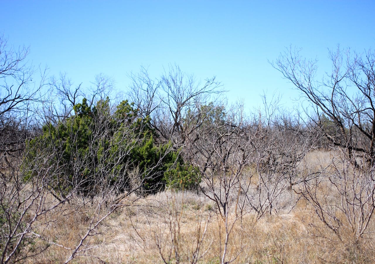 Red Rock Ranch Tract 3 photo 20