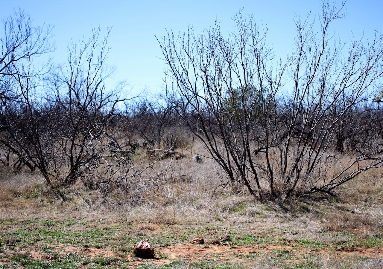 Red Rock Ranch Tract 3 photo 21