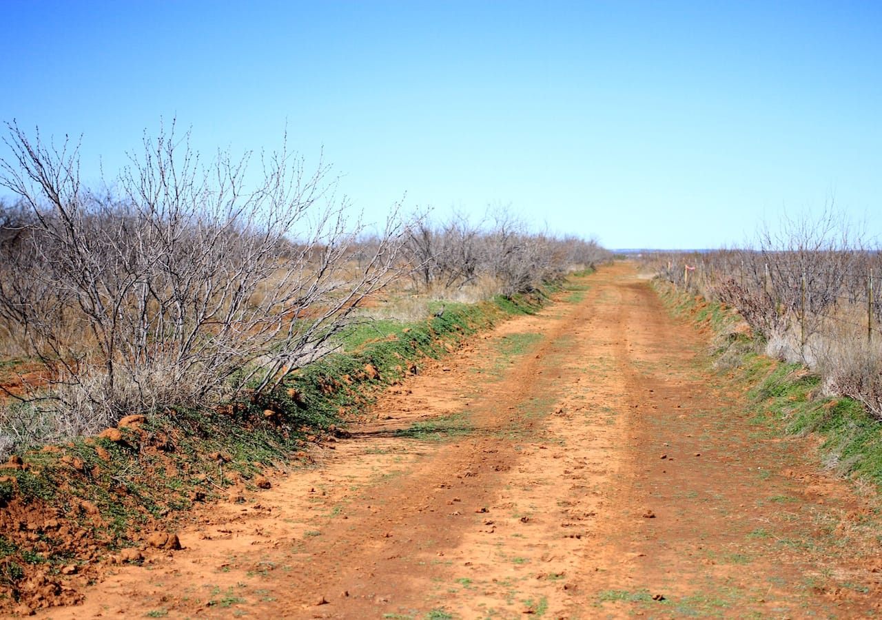 Red Rock Ranch Tract 3 photo 22
