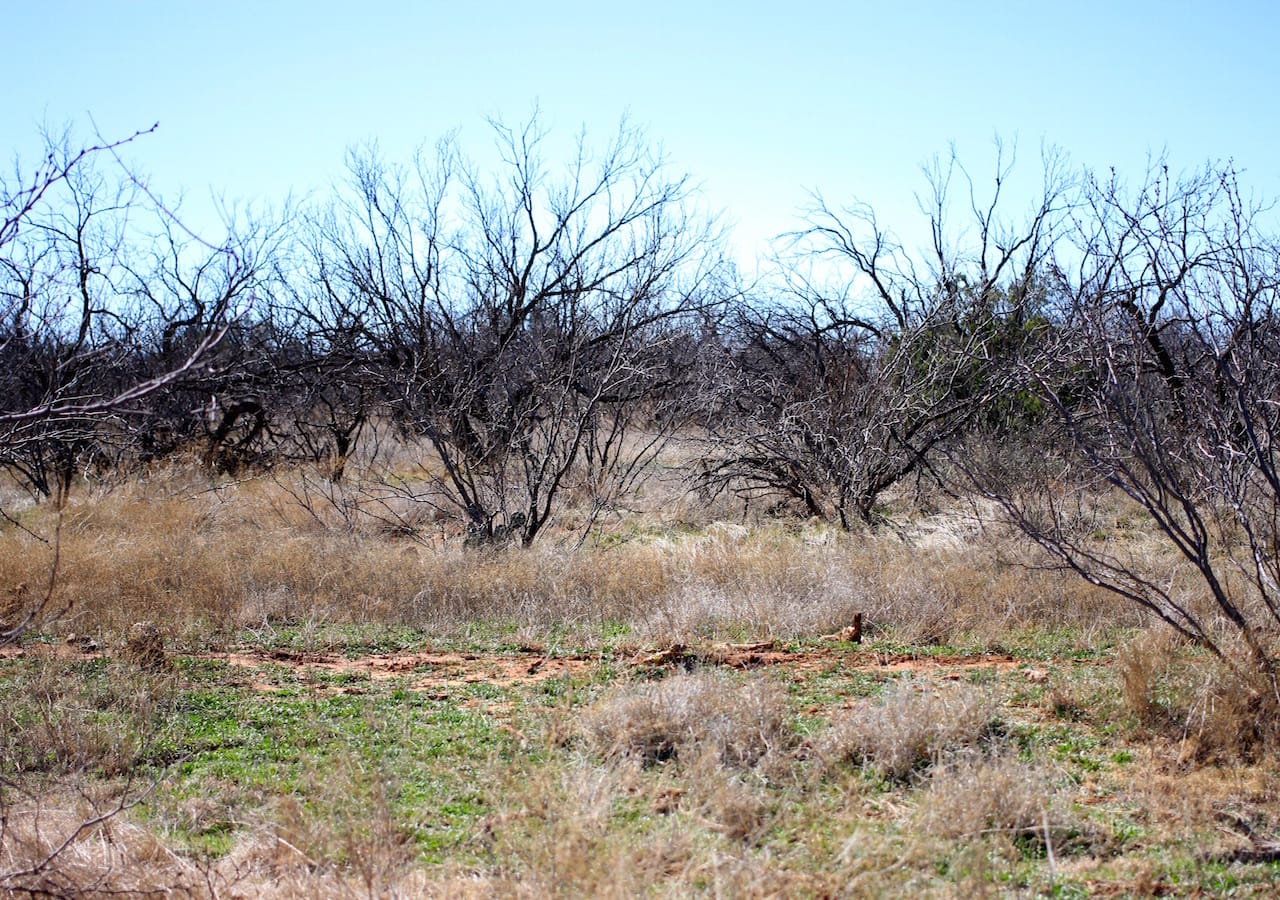 Red Rock Ranch Tract 3 photo 23
