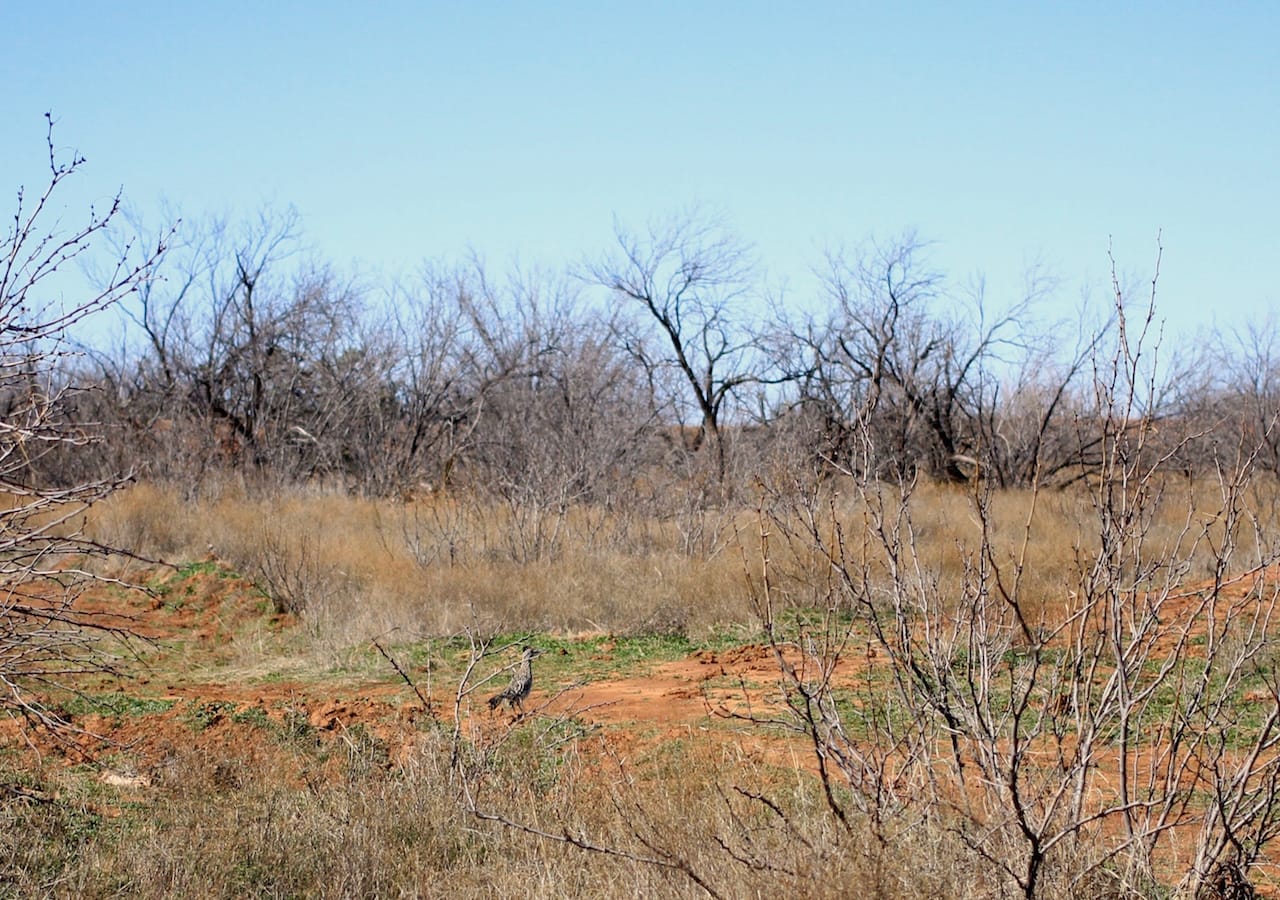 Red Rock Ranch Tract 3 photo 24