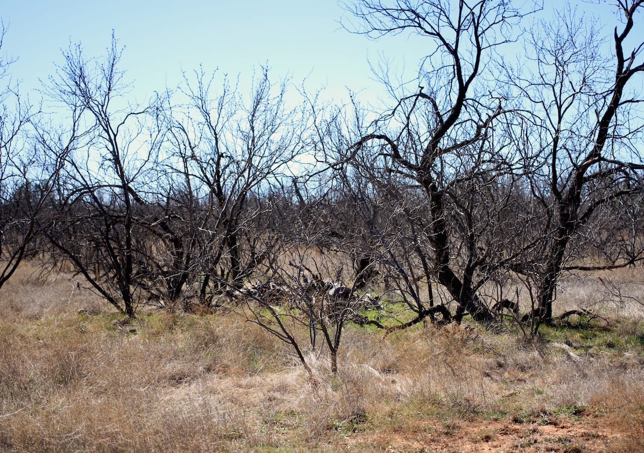 Red Rock Ranch Tract 3 photo 26