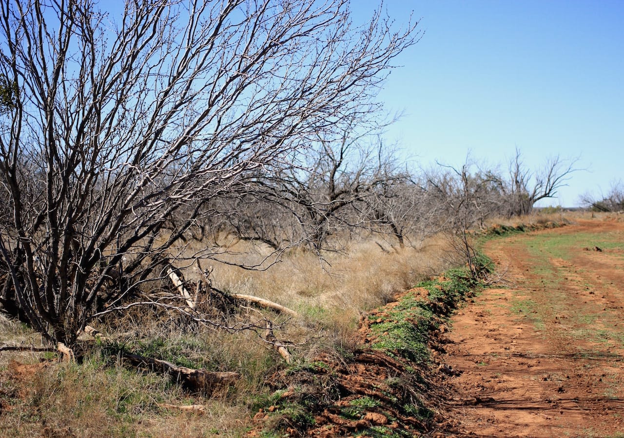 Red Rock Ranch Tract 3 photo 27